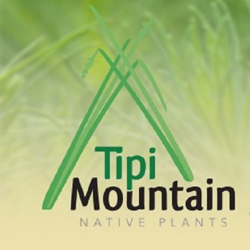 Tipi Mountain Native Plants