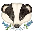 logo-Little-Badgers-Early-Learning